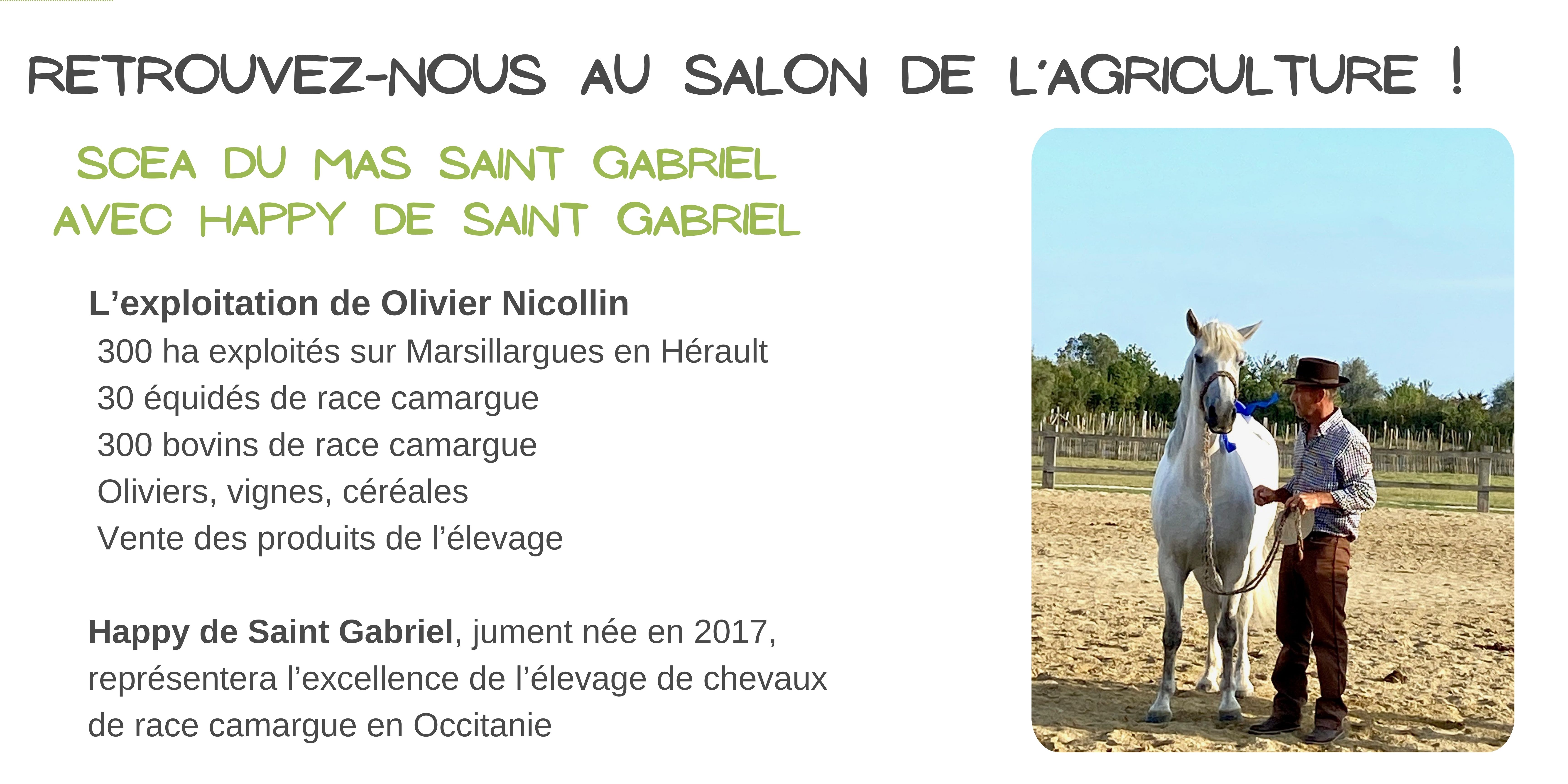 SCEA du Mas Saint-Gabriel